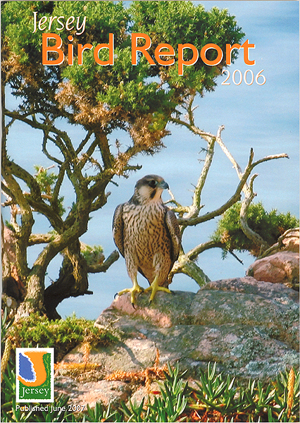 Jersey Bird Report 2006