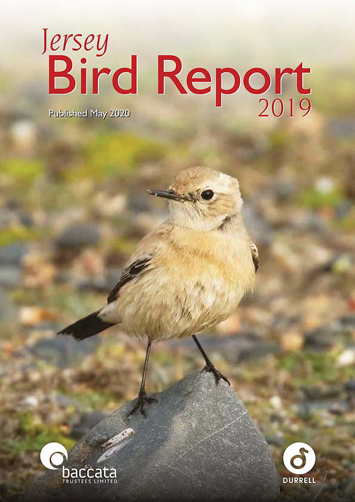 Jersey Bird Report 2019
