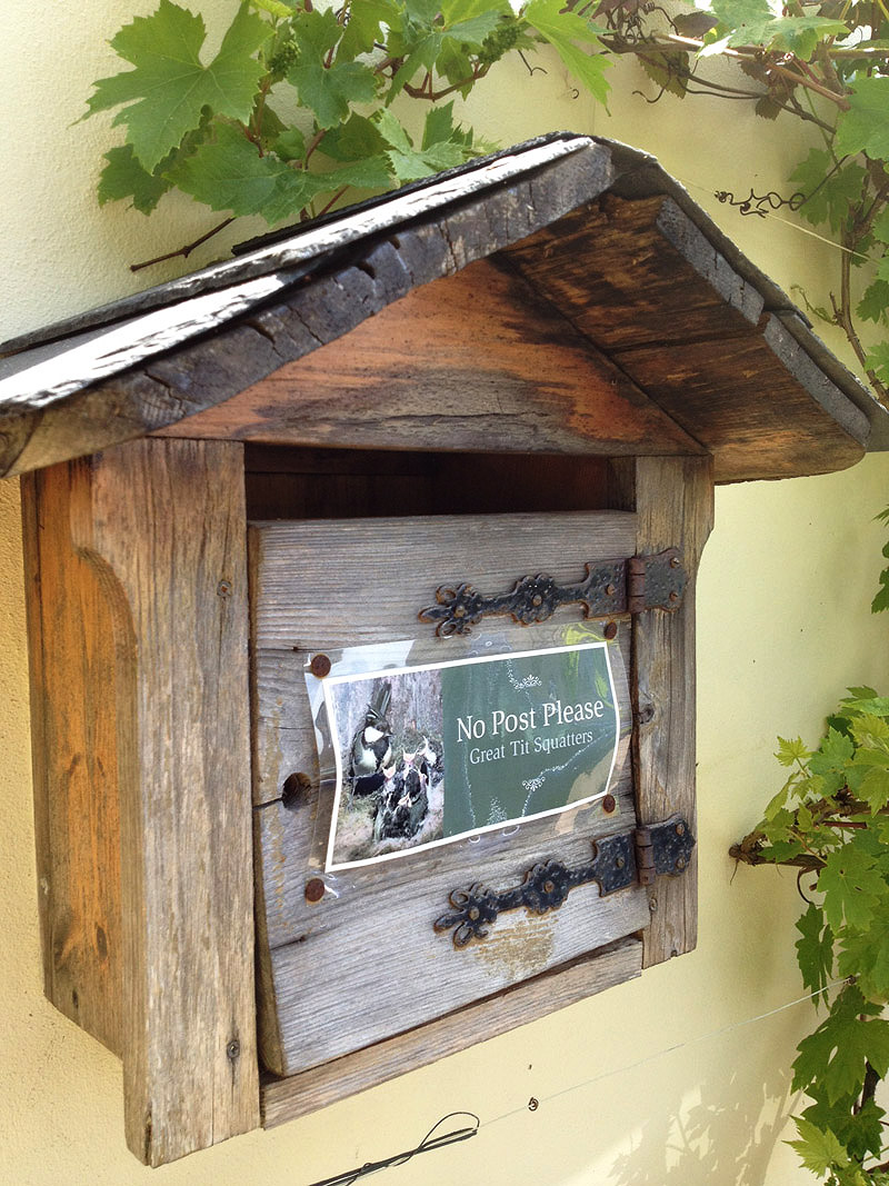 Great Tit nest box by Scott Haynes