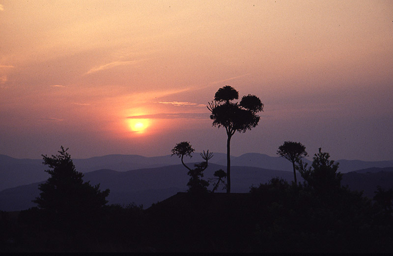 Malalotja Swaziland