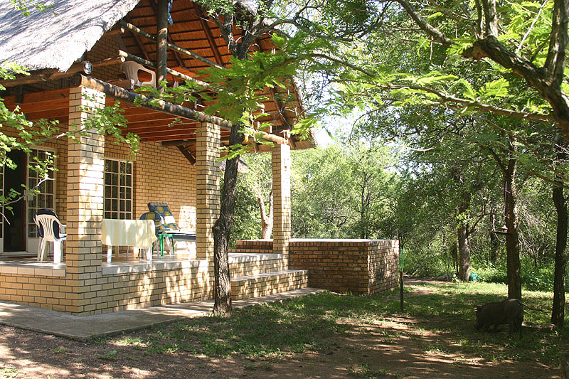 Rear view at Halcyon