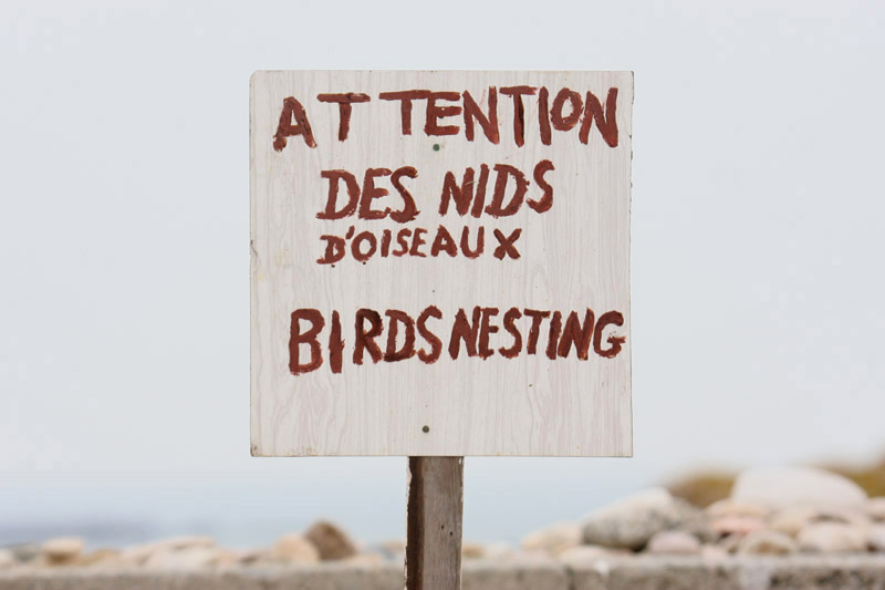 Sign on Les Ecrehous by Mick Dryden