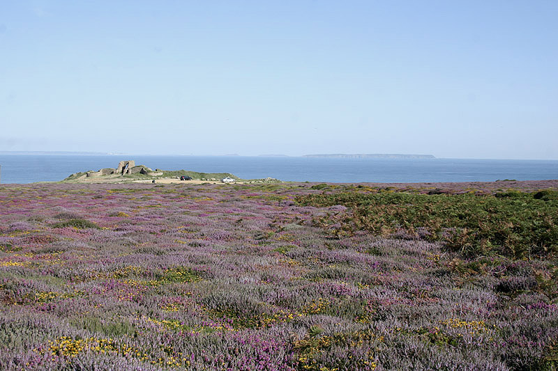 Les Landes by Mick Dryden