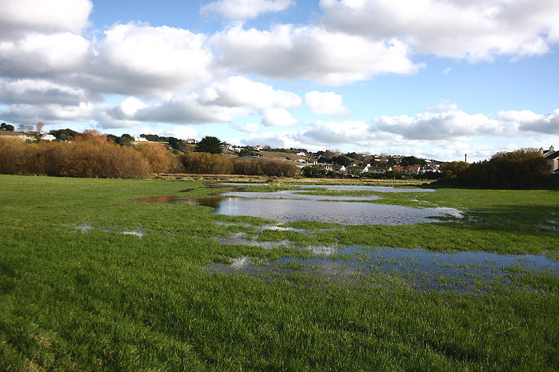 Goose Green Marsh by Mick Dryden