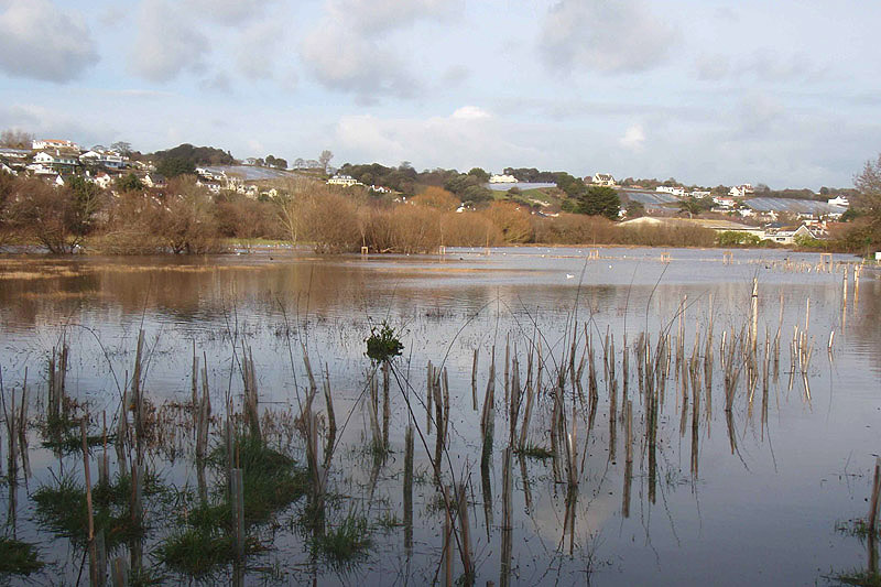 Goose Green Marsh