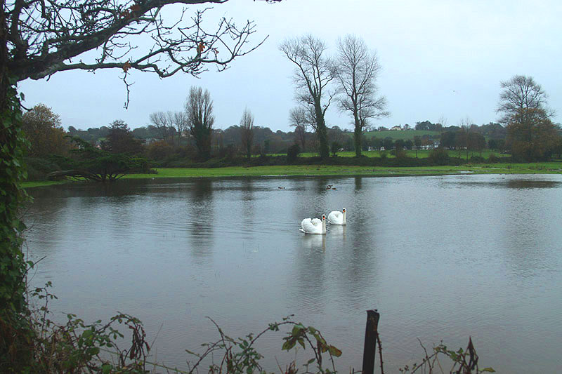 Grouville Marsh by Mick Dryden