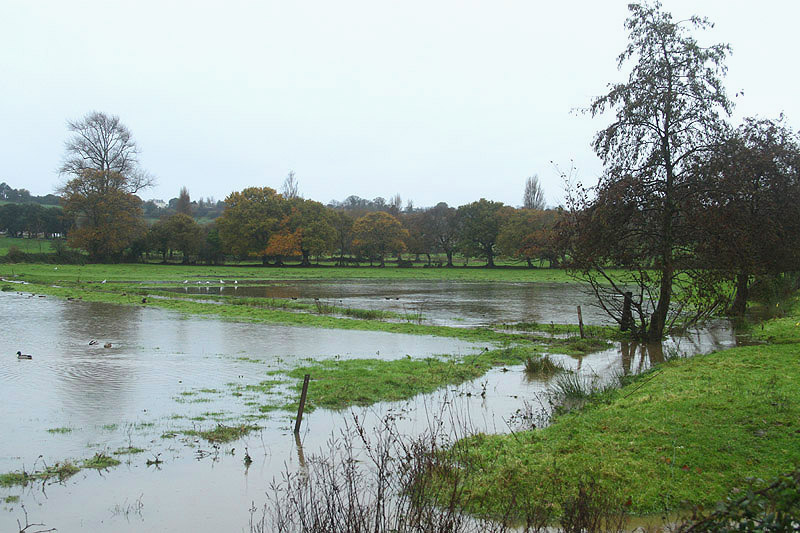 Grouville Marsh by Mick Dryden