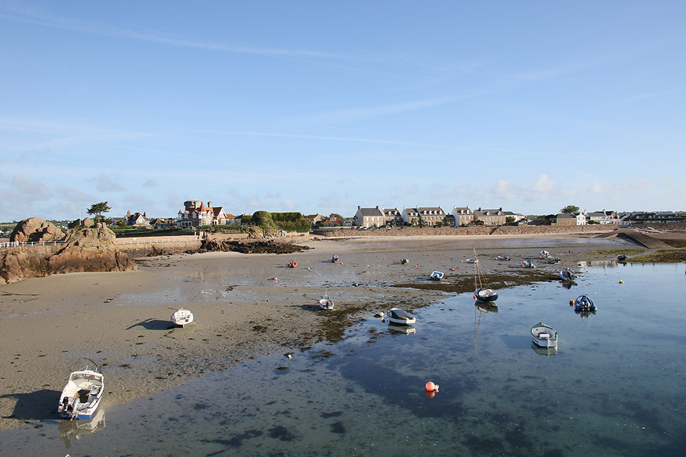 La Rocque by Mick Dryden