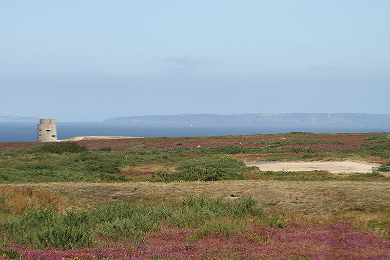 Les Landes by Mick Dryden