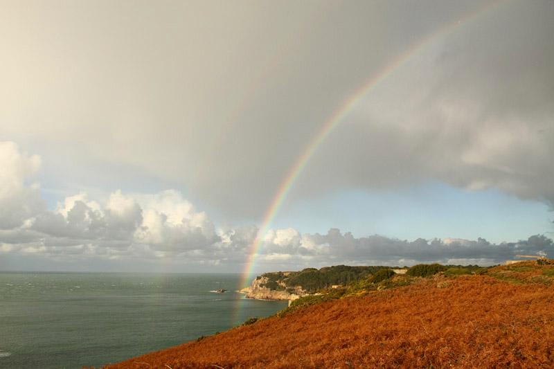 Portelet Headland by Mick Dryden