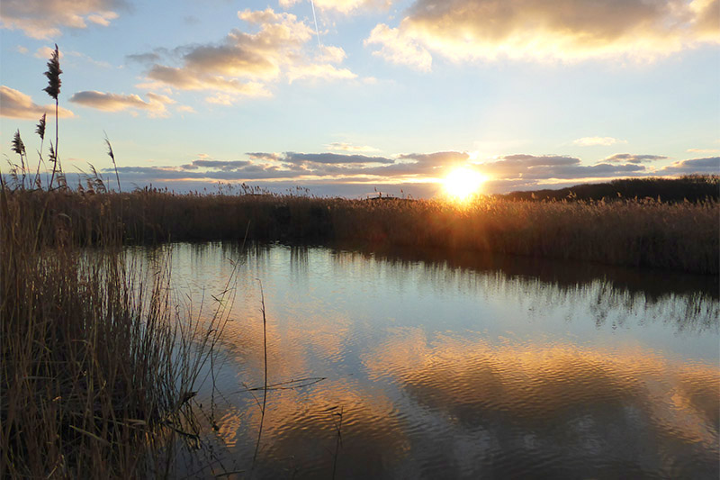 St Ouen's Pond by David Buxton