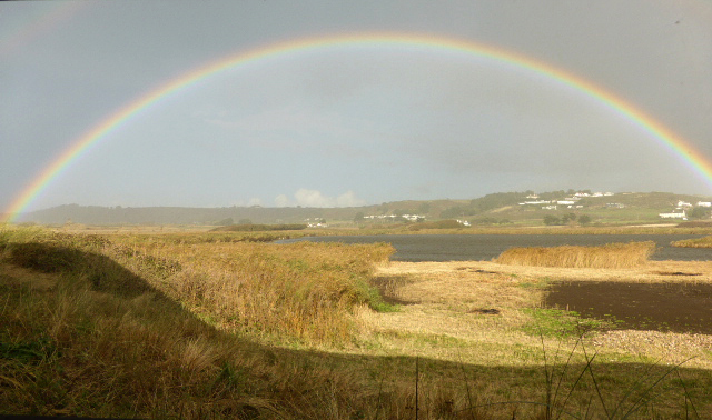 St Ouen's Pond by David Buxton