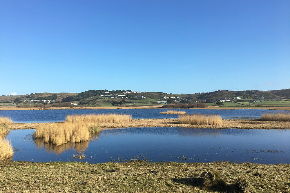 St Ouens Pond by Mick Dryden