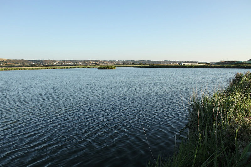 St Ouen's Pond by Mick Dryden