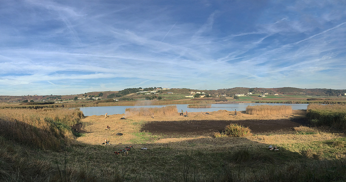 St Ouen's Pond by Mick Dryden