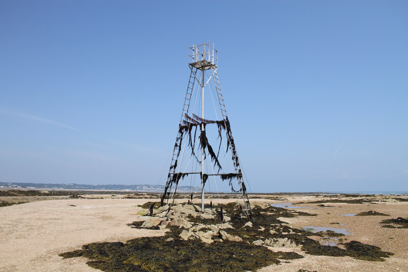 Refuge by Mick Dryden