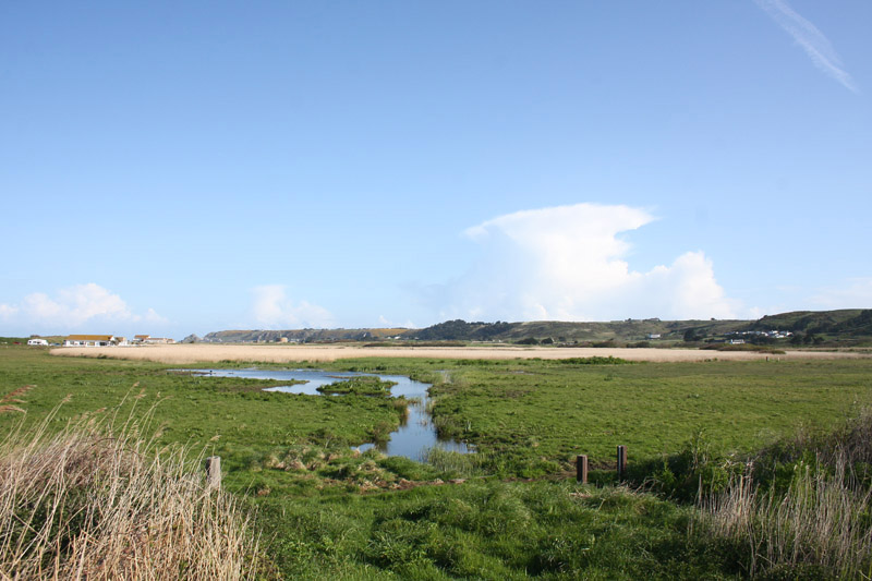 St Ouen's Pond by Mick Dryden