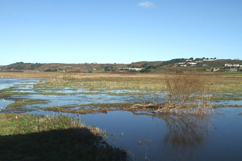 St Ouen's Pond Scrape by Mick Dryden