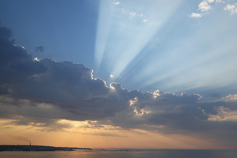 South-East Coast by Mick Dryden