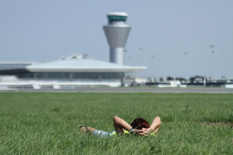 Skylark Survey 2011 by Mick Dryden