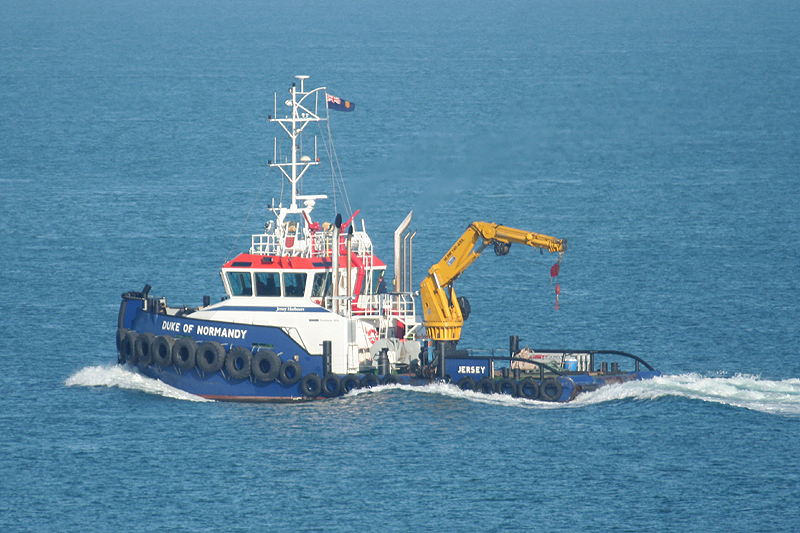 Duke of Normandy by Mick Dryden