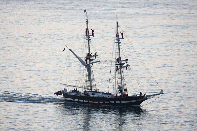 TS Royalist by Mick Dryden