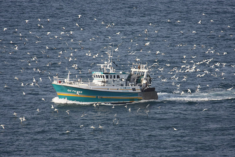 Granville Trawler by Mick Dryden