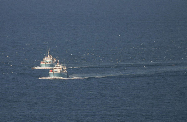 Trawlers with Gannets by Mick Dryden