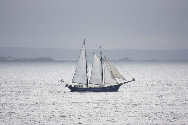 Zephyr by Mick Dryden