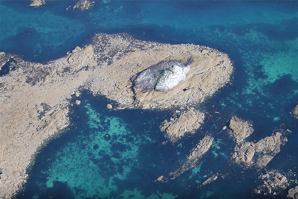 Les Maisons by Tony Paintin