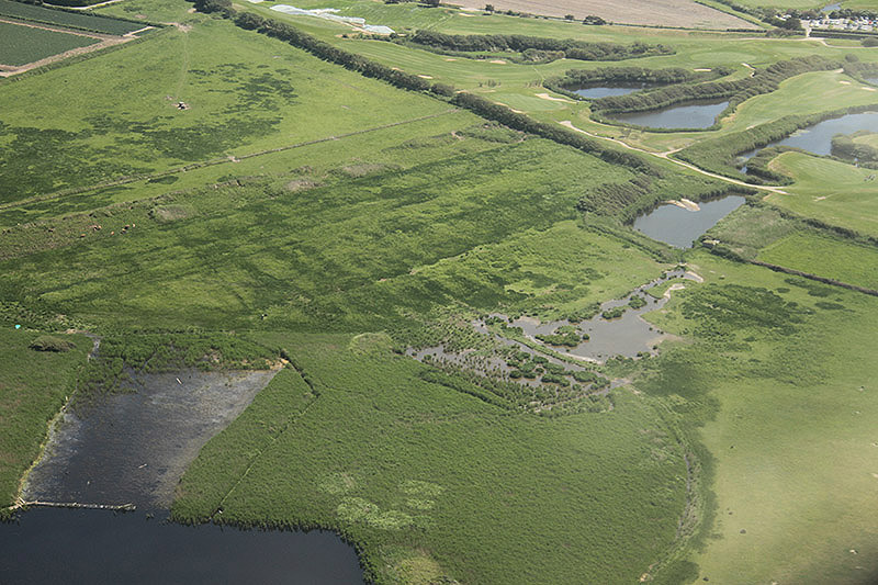 St Ouen's Pond Scrape by Mick Dryden