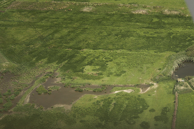 St Ouen's Pond Scrape by Mick Dryden