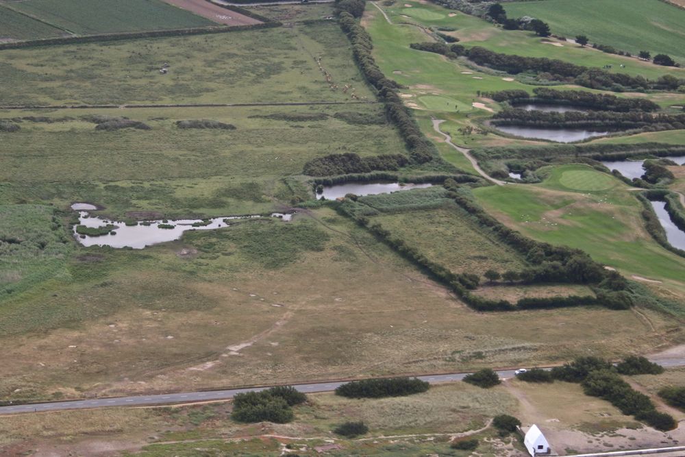 The Scrape by Tony Paintin