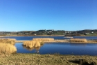St Ouens Pond by Mick Dryden St Ouens Pond by Mick Dryden