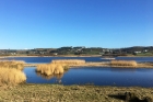 St Ouens Pond by Mick Dryden