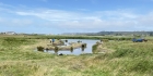 The Scrape by Mick Dryden The Scrape by Mick Dryden