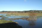 St Ouen's Pond Scrape by Mick Dryden