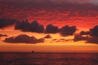 Seymour Tower at Dawn by Mick Dryden Seymour Tower at Dawn by Mick Dryden
