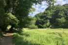 St Catherines Woods by Mick Dryden St Catherines Woods by Mick Dryden