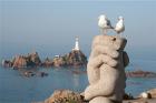 Herring Gulls at Corbiere by Tony Paintin